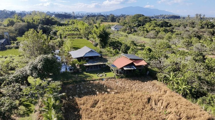 2D1N Rural Retreat: An Organic Farm Escape