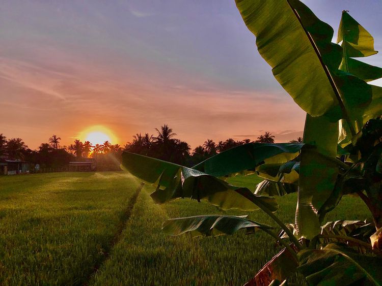 Vietnam - Immersion in Southern Vietnam 2D1N