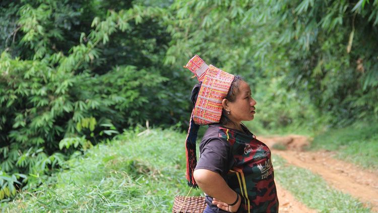 The Deep North: Trekking, Tribes and Traditions 4D3N
